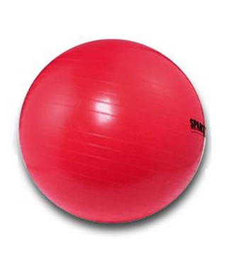 Power Gymnastikball SPARTAN 55 cm